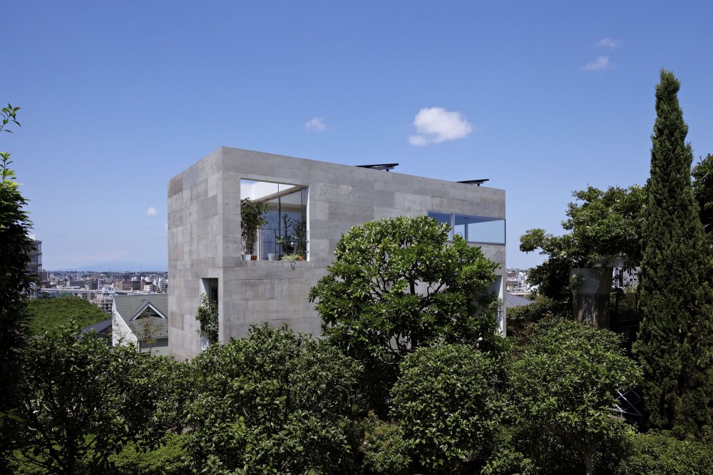 Planter House / no.555