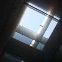 Institute of Functional Biology and Genomics / Mata y Asociados © Juan K. Ayala