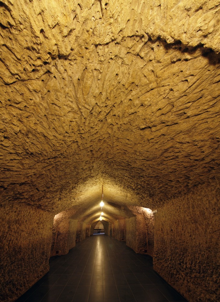 Castle Winery / Moral Arquitectura
