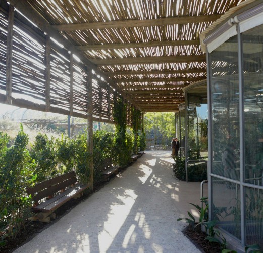 Lugar de las Aves, Bioparque Temaikén / Hampton+Rivoira+Arquitectos 017