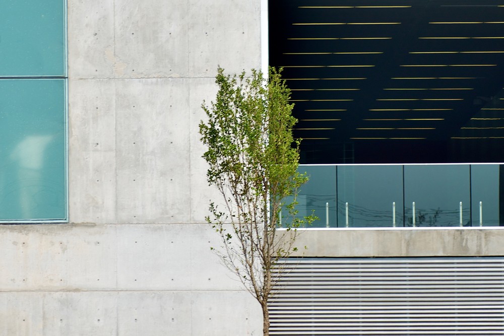 Banorte Building / LeNoir & Asoc. Estudio de Arquitectura