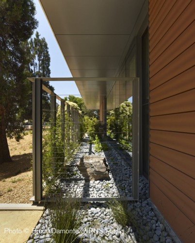Freidenrich Center for Translational Research / WRNS Studio