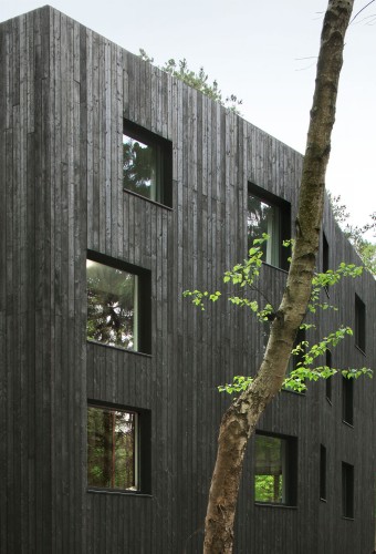 © Filip Dujardin
