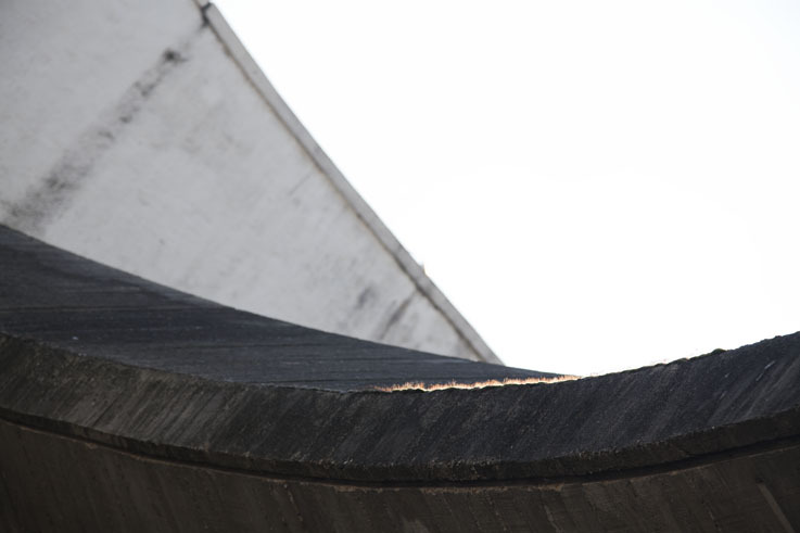 The work of Oscar Niemeyer, by Patricia Parinejad