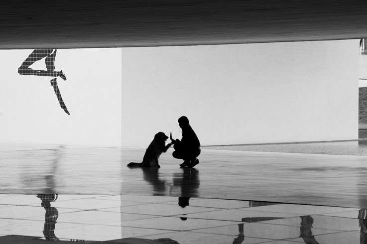 The work of Oscar Niemeyer, by Patricia Parinejad