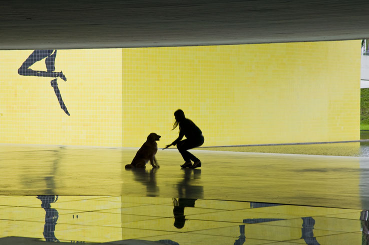The work of Oscar Niemeyer, by Patricia Parinejad