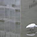 The work of Oscar Niemeyer, by Patricia Parinejad The work of Oscar Niemeyer, by Patricia Parinejad © Patricia Parinejad
