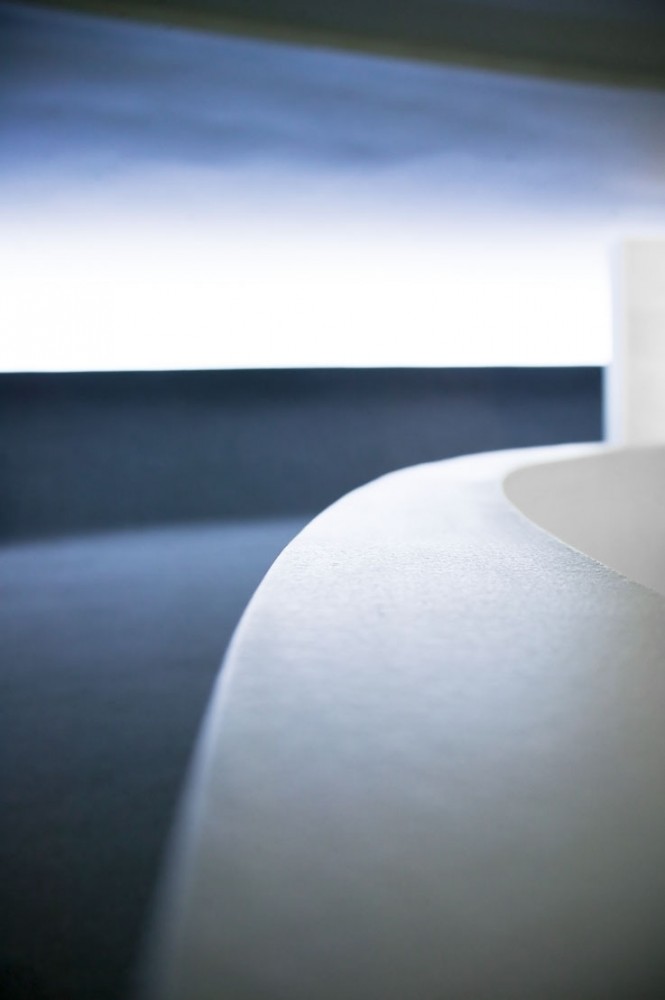 The work of Oscar Niemeyer, by Patricia Parinejad