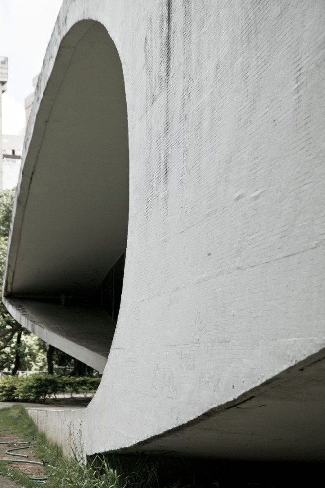 The work of Oscar Niemeyer, by Patricia Parinejad