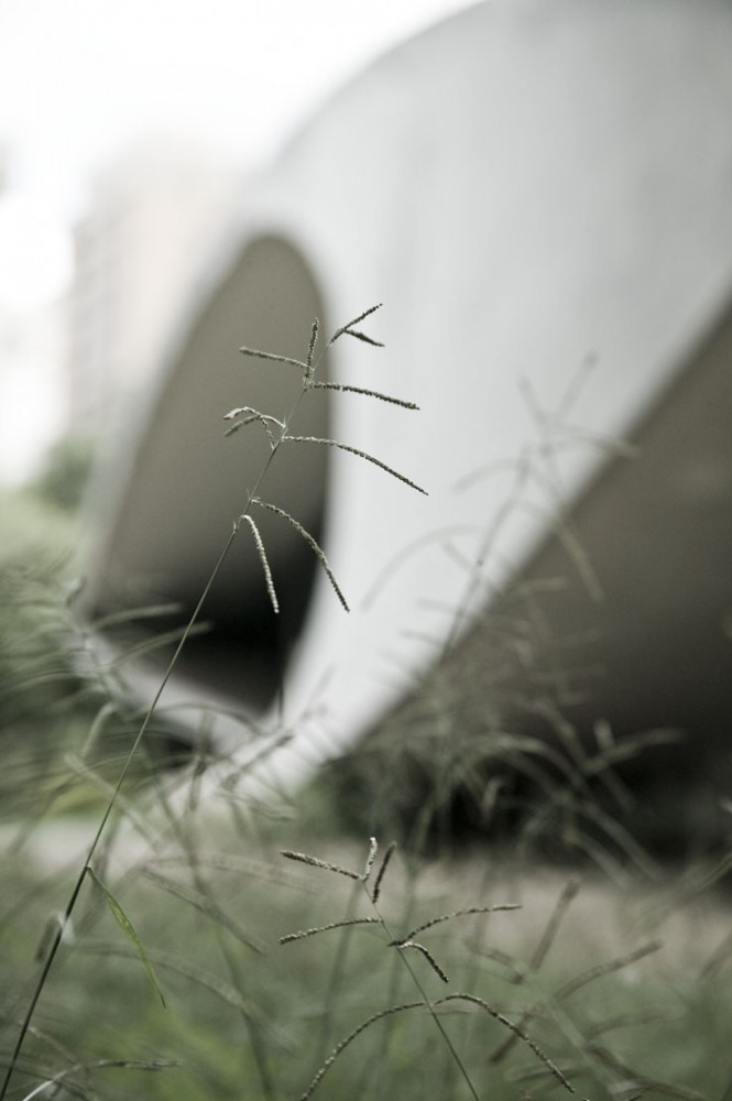 The work of Oscar Niemeyer, by Patricia Parinejad