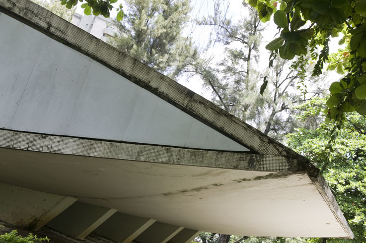 The work of Oscar Niemeyer, by Patricia Parinejad