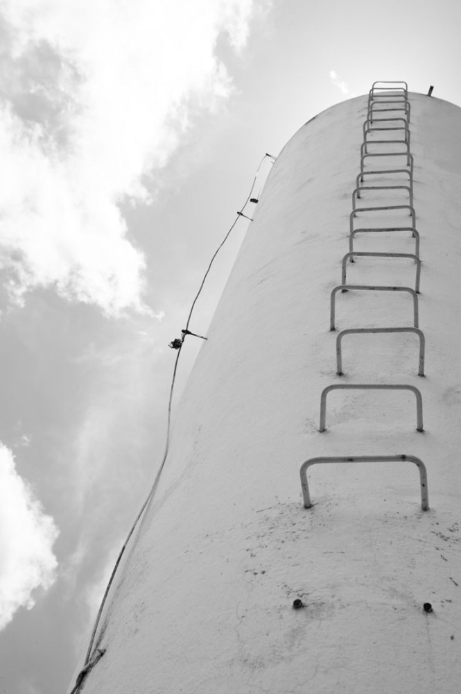 The work of Oscar Niemeyer, by Patricia Parinejad