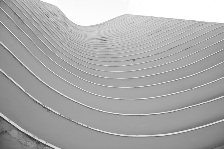 The work of Oscar Niemeyer, by Patricia Parinejad