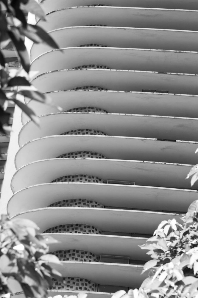 The work of Oscar Niemeyer, by Patricia Parinejad