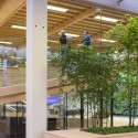 IBC Innovation Factory / SHL Architects IBC Innovation Factory / SHL Architects © Adam Mørk