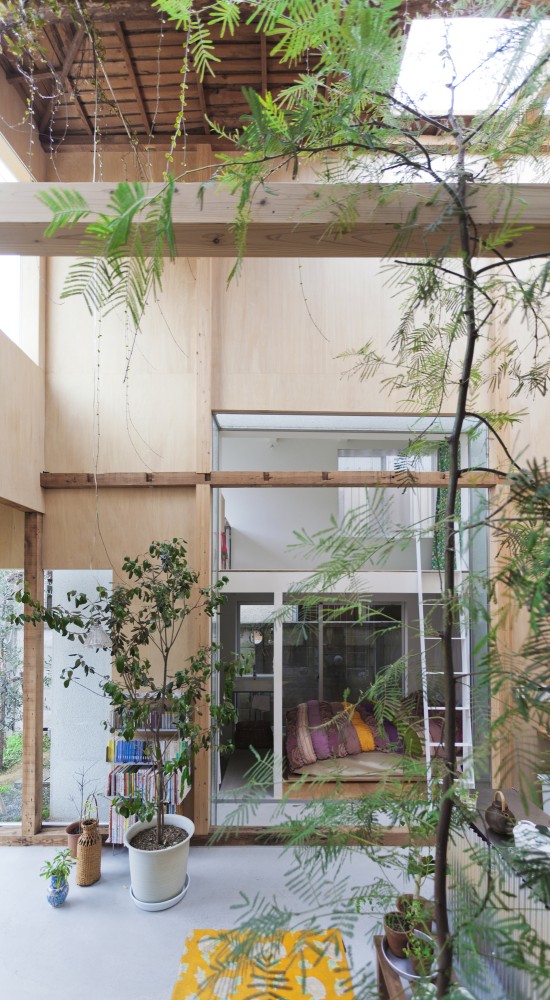 House Komazawa Park / miCo.