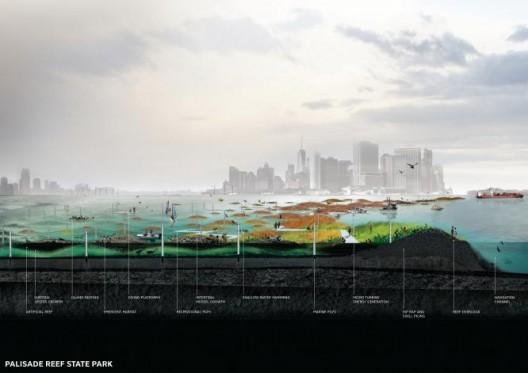 Palisade Reef, 2010, by SCAPE; photo credit SCAPE.