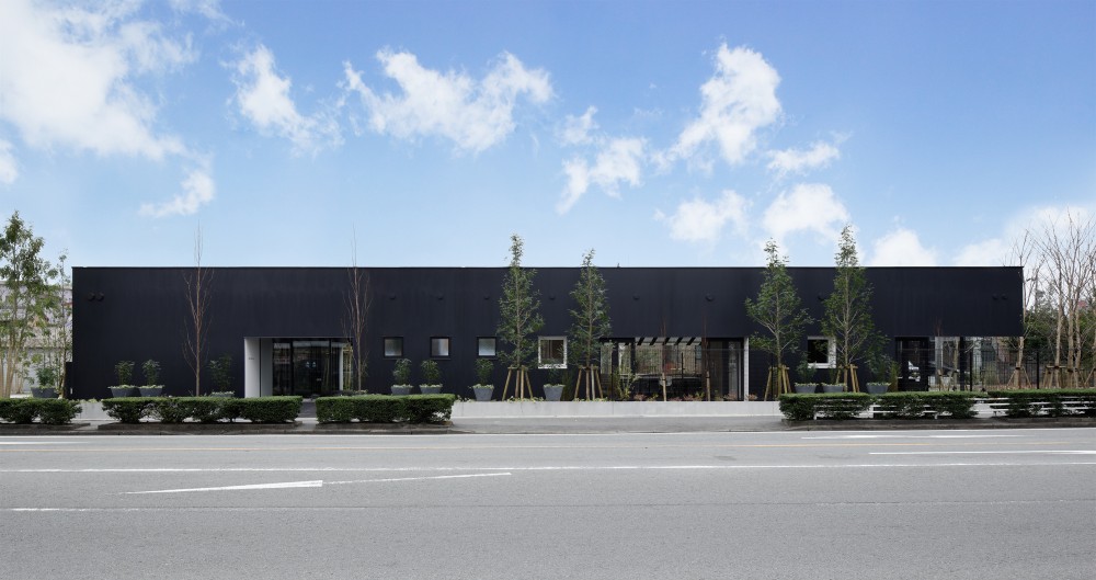 Office in Forest / SUGAWARADAISUKE