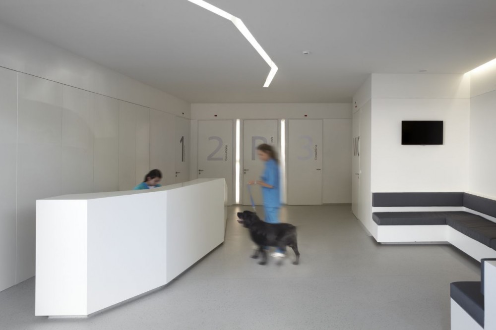 CHV Veterinarian Hospital / dEMM Arquitectura