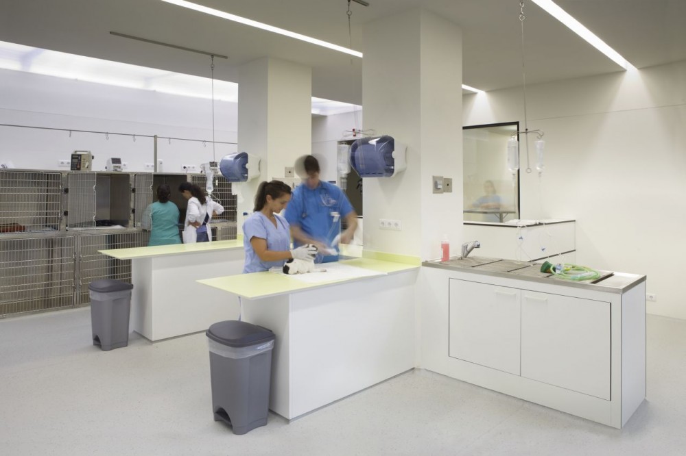 CHV Veterinarian Hospital / dEMM Arquitectura