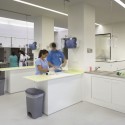 CHV Veterinarian Hospital / dEMM Arquitectura CHV Veterinarian Hospital / dEMM Arquitectura © Pedro Lobo