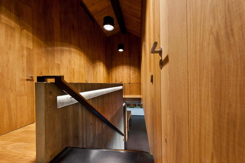 An Autograph Among the Pine Trees / Studija Archispektras