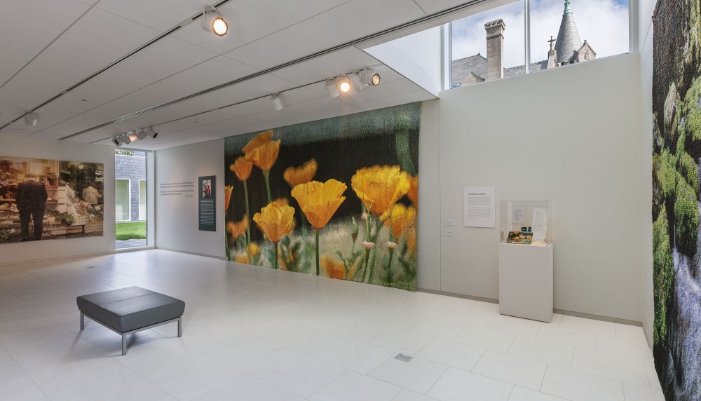 Nelson Cultural Center / HGA