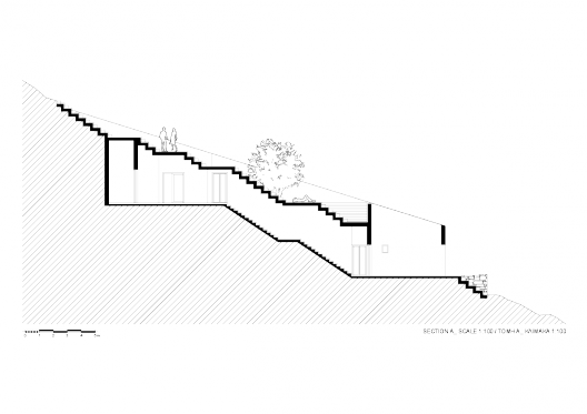 Section