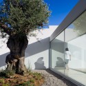 House in Tavira / Vitor Vilhena Architects © Joao Morgado