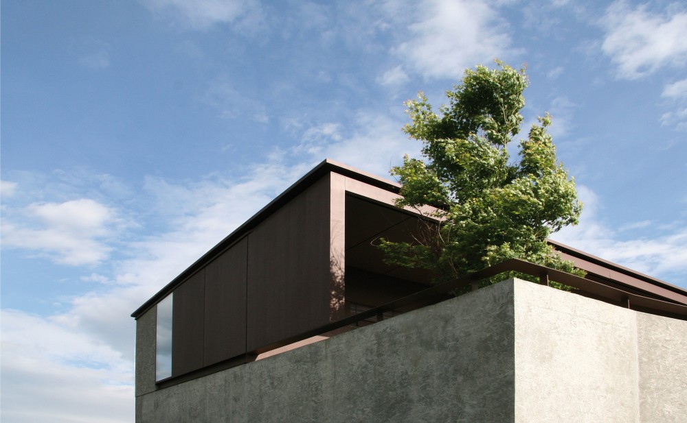 DMB House / act_romegialli