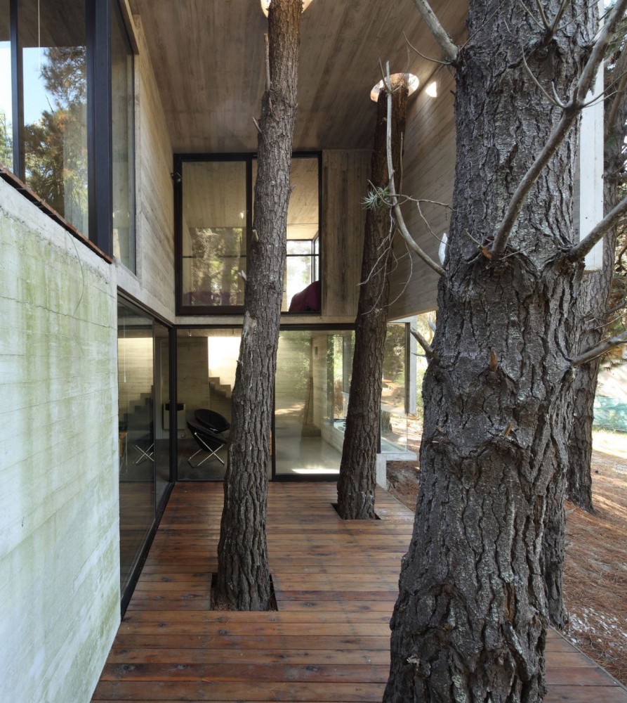 Franz House / BAK Architects