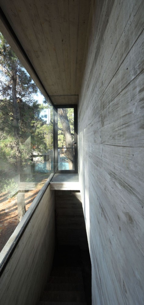 Franz House / BAK Architects