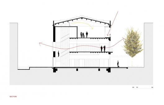 section