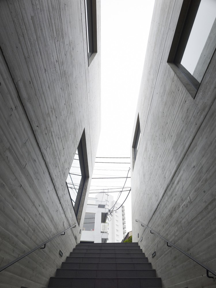 T2 Retail Shop / General Design