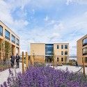 Crown Woods College / Nicholas Hare Architects Courtesy of Nicholas Hare Architects