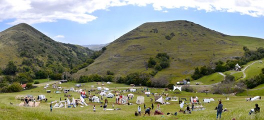 Students build living structures