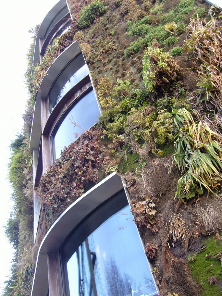 Biological Concrete for a Living, Breathing Facade