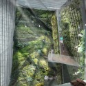 KAFD Men’s and Women’s Portal Spas Proposal (18) men's fissure garden