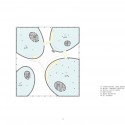 Jinan Contemporary Art Museum Proposal (13) plan 03