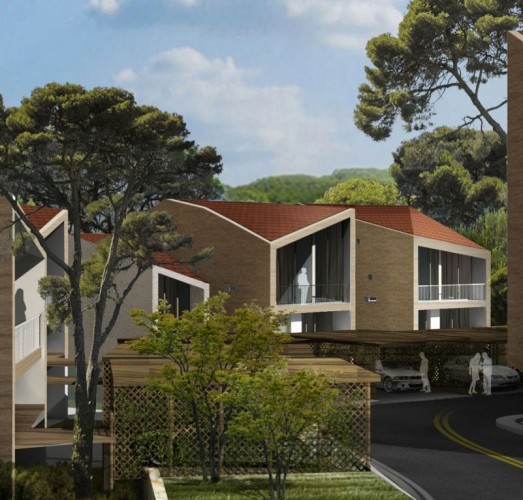 NAAS Springs - FFA Proposal (4)