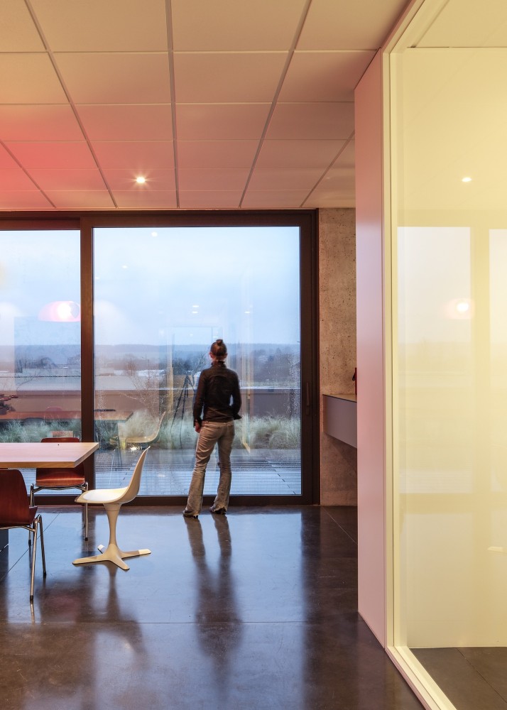 Snark Office / calimùcho