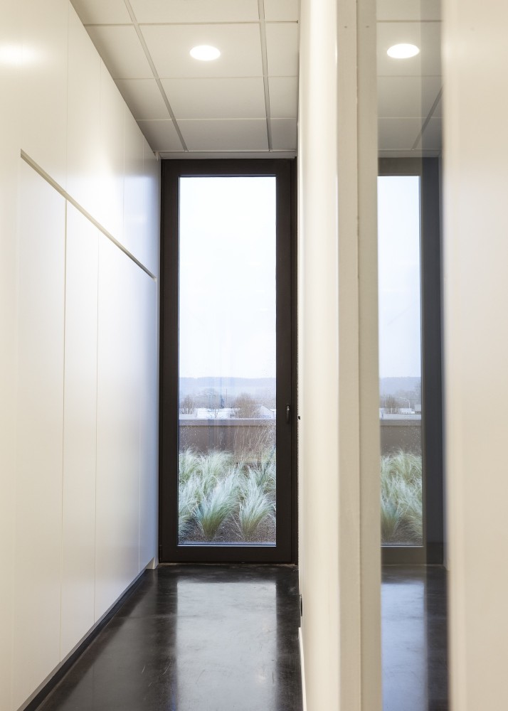 Snark Office / calimùcho