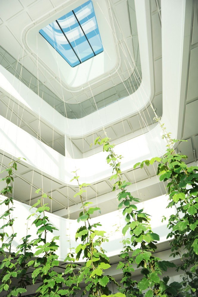 Gümligenpark New Credit Suisse Backoffice / Burckhardt+Partner