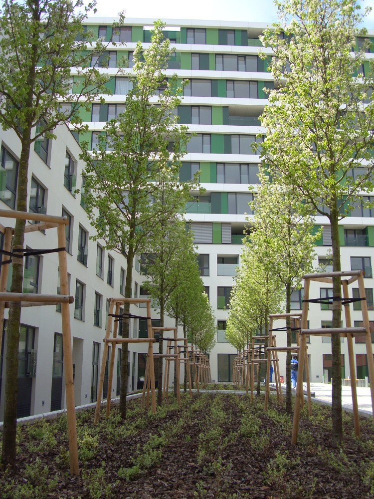 Viktoria Building / Grido