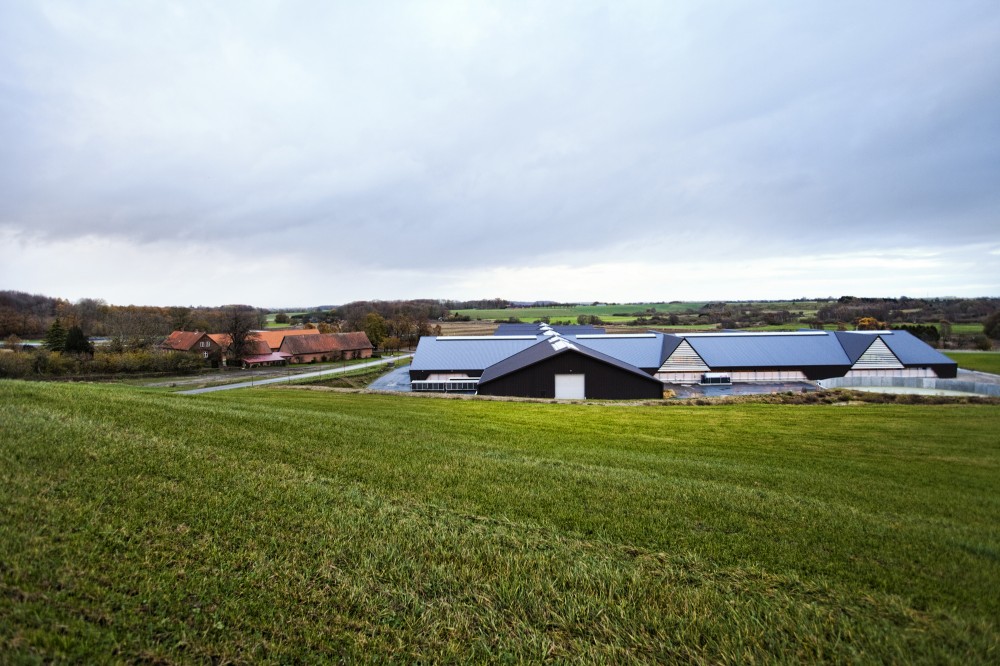 Vejlskovgaard Stable / LUMO Architects