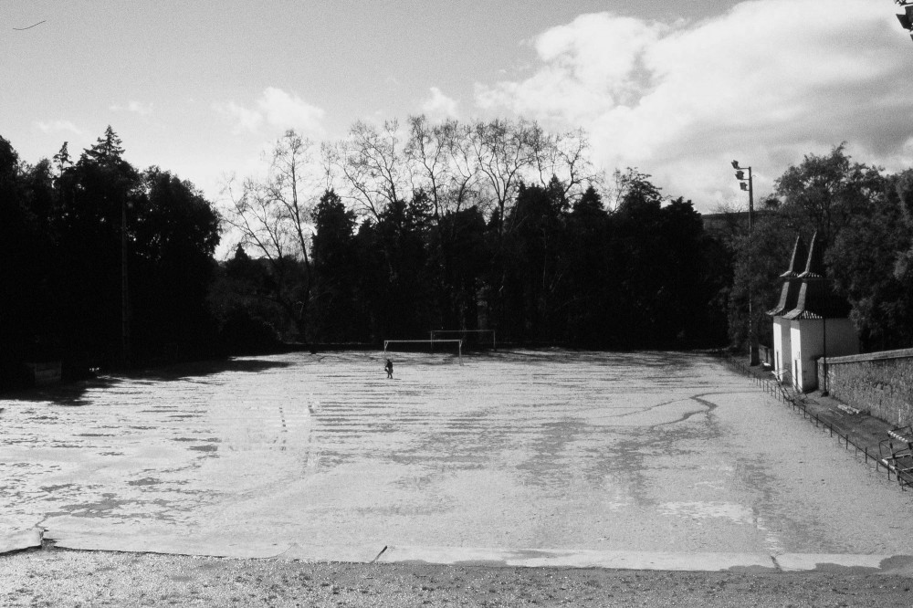 Santa Cruz Field / José Cabral Dias + Luís Miguel Correia