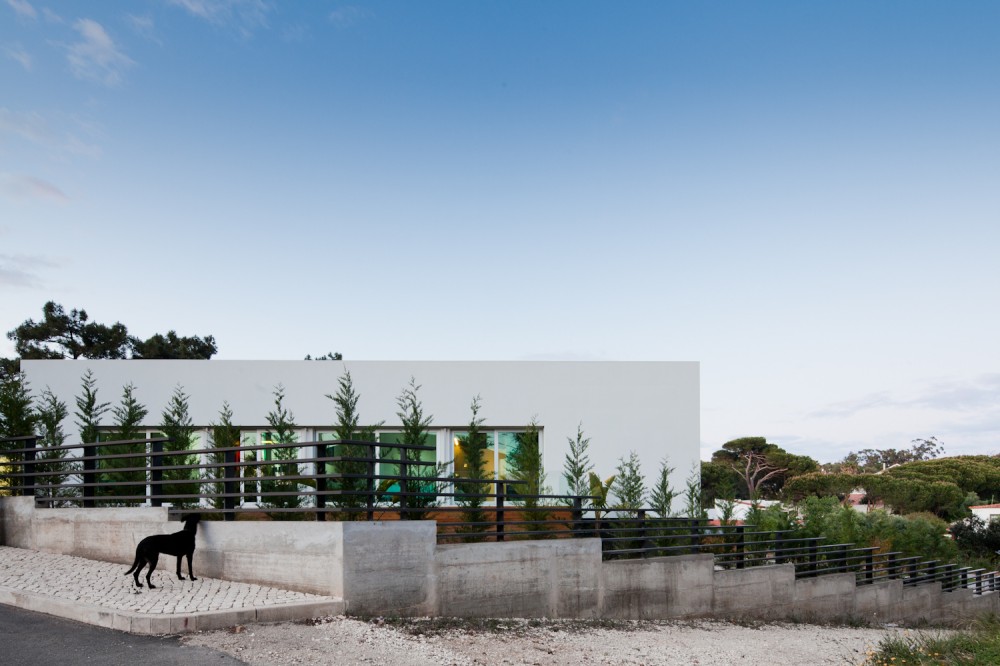 Godiva House / Empty Space Architecture