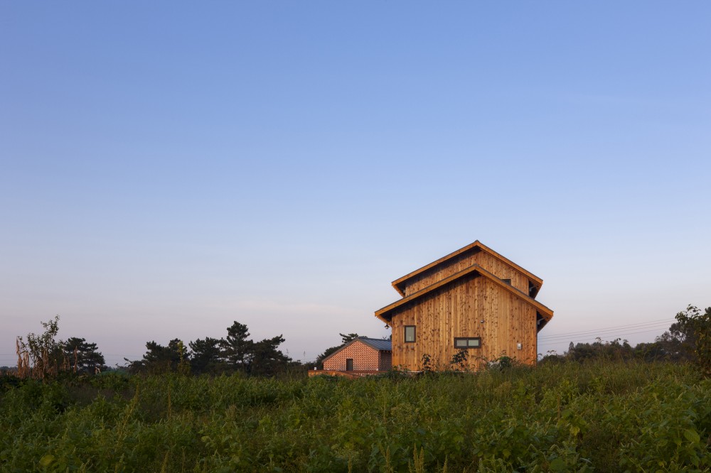 House of January / Studio-Gaon
