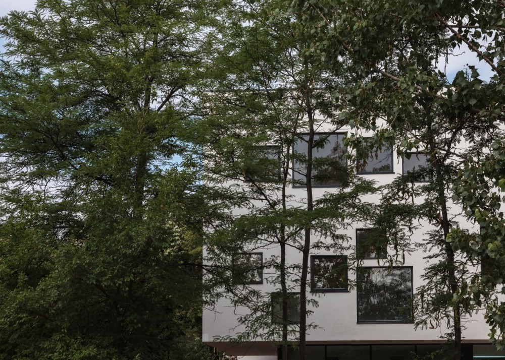 Dante Alighieri School Expansion / LTFB Studio