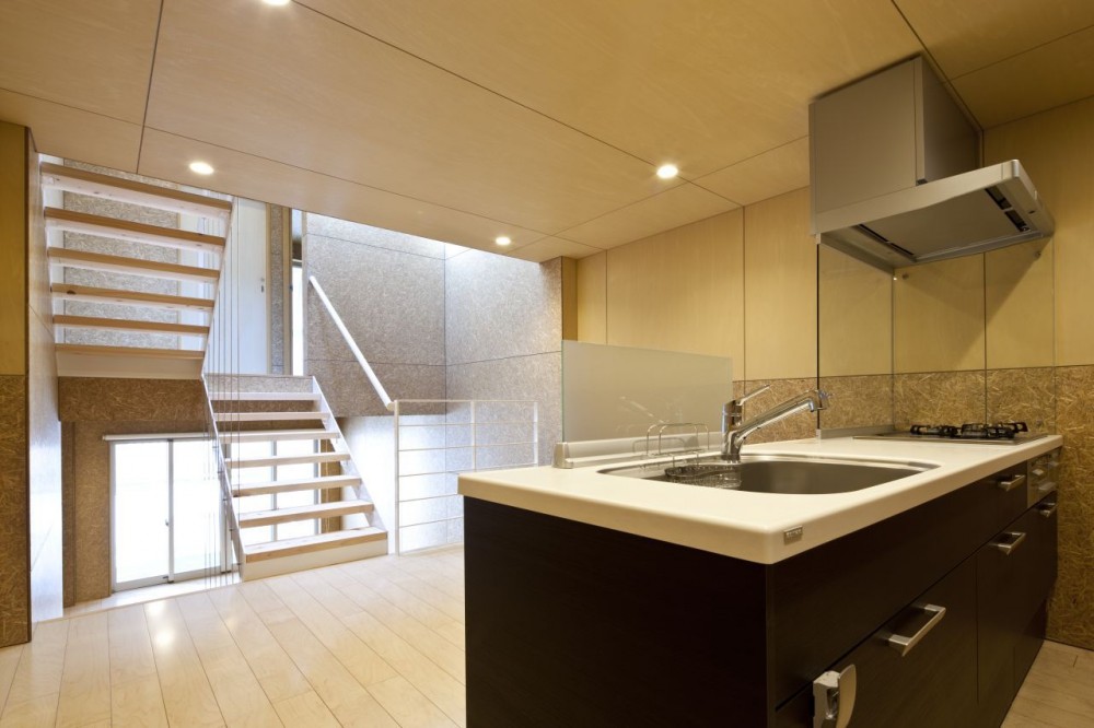 Rooftecture OT2 / Shuhei Endo